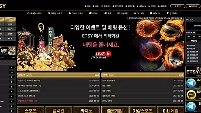 ​ETSY ​ey010.com 299만원 먹튀