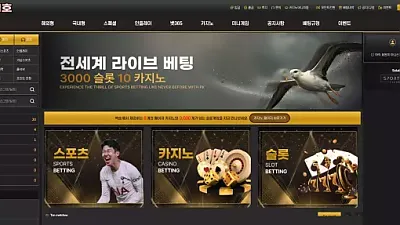 백호 lt-999.com 396만먹튀